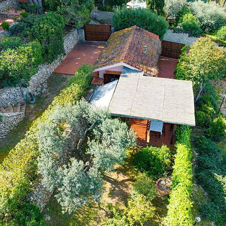 Il Cottage Di Villa Sveva, Splendida Vista Mare 圣托斯特凡诺港 外观 照片