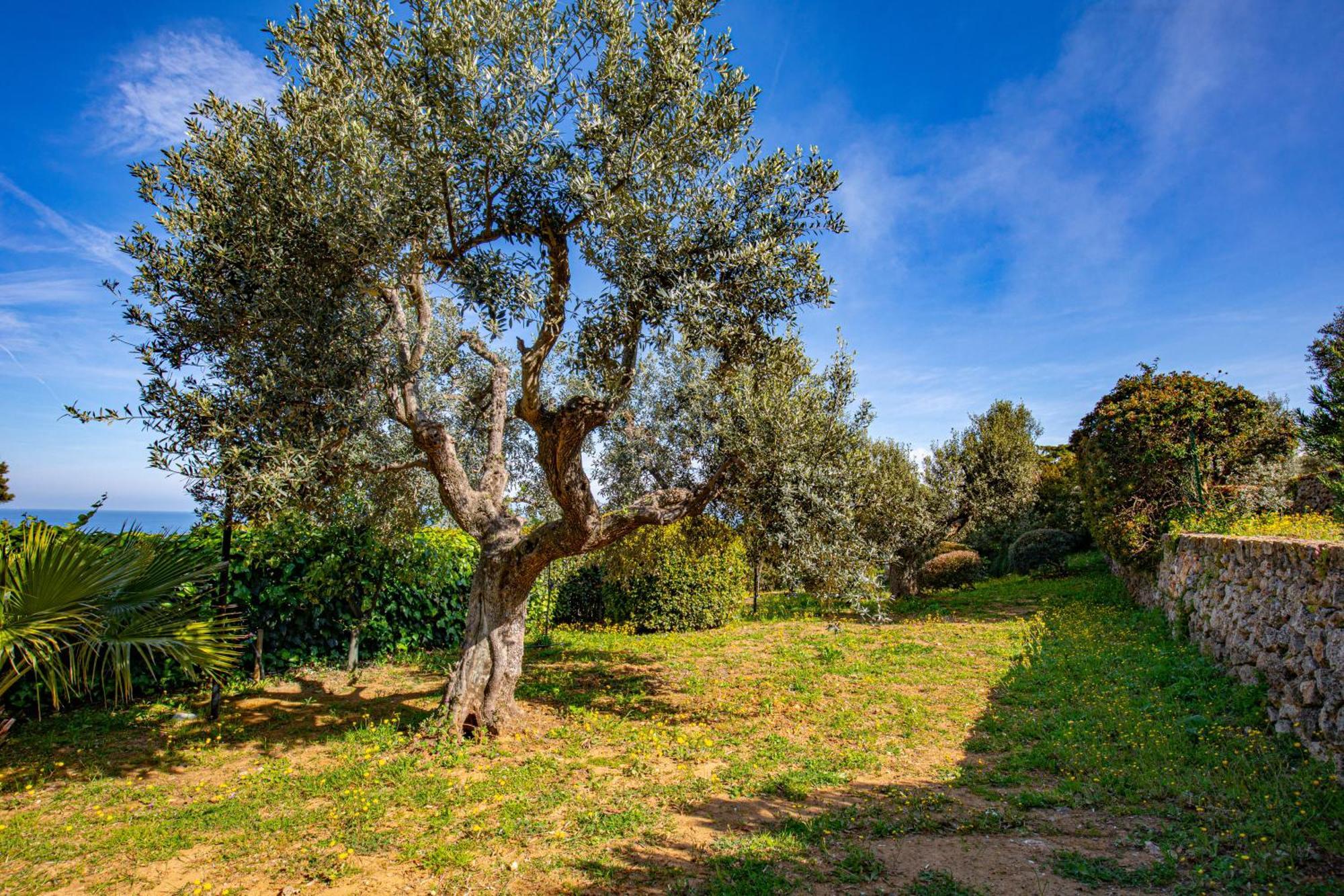 Il Cottage Di Villa Sveva, Splendida Vista Mare 圣托斯特凡诺港 外观 照片
