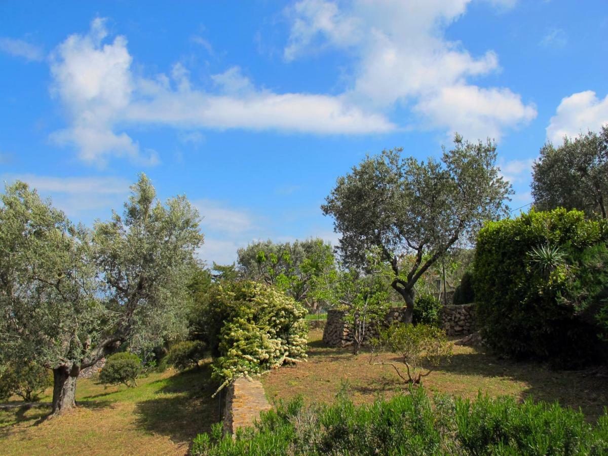Il Cottage Di Villa Sveva, Splendida Vista Mare 圣托斯特凡诺港 外观 照片