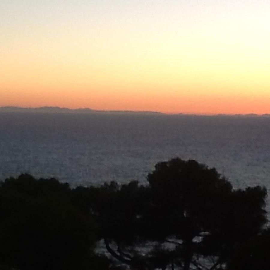 Il Cottage Di Villa Sveva, Splendida Vista Mare 圣托斯特凡诺港 外观 照片